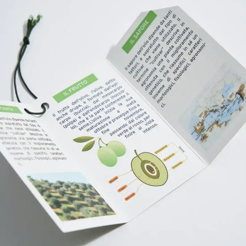 Cartellino pieghevole a tre ante in quadricromia